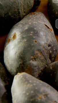 Vertical video: Plums getting UI bubbles on tap, moving and stacking, showing social counts