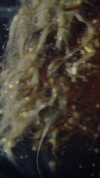 Vertical video: Male singer gripping mic, singing emotionally while hair flying amid golden dust