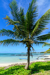 Fototapeta premium モーリシャスのとても美しいビーチ風景A view of a very beautiful white sand beach in Mauritia