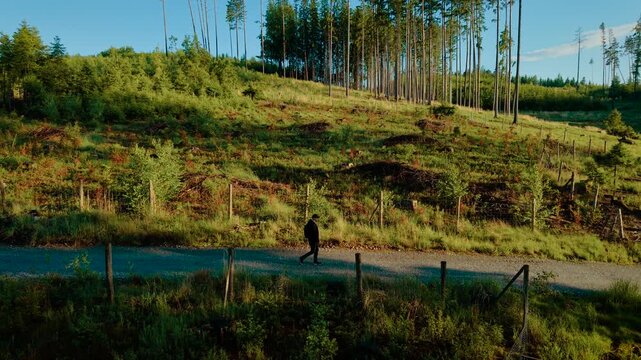 Backpacker walking beside hillside forest fence in sunny weather. Explorer strolling on gravel trail through green landscape under clear sky. Male moving along woodland path lined with young trees and