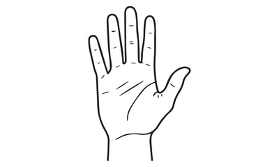 Obraz premium Hand Gesture Line Art Vector