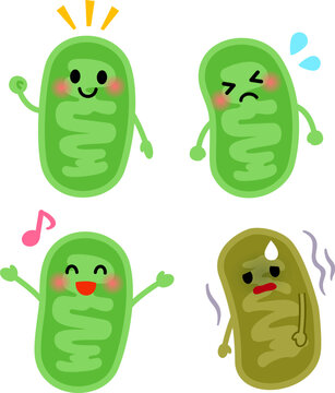 ミトコンドリアのキャラクターのイラストセット