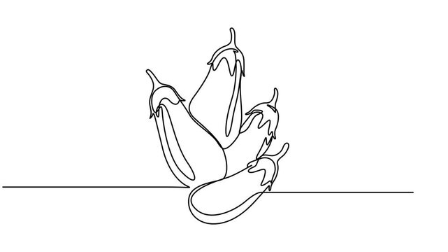 Self animated continuous one line drawing of eggplant. Full length one line 4k animation video, Animated self drawing of continuous line draw of whole and sliced healthy organic eggplant for market.