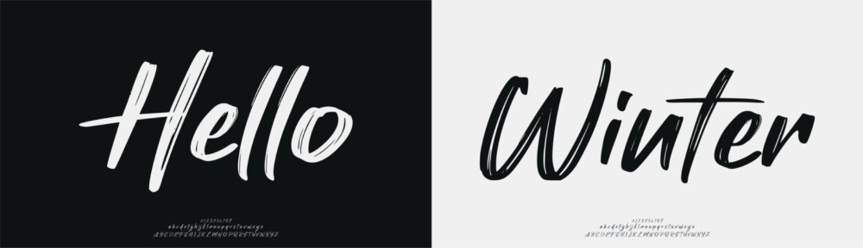 Hello Winter, Script Font Calligraphy Logotype Brush Font Type Font lettering handwritten
