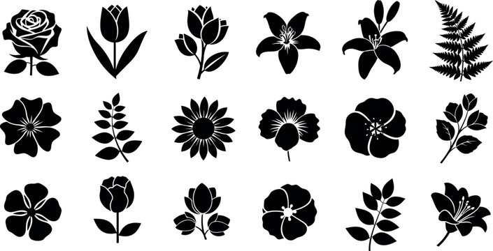 Collection of black floral and leaf silhouette flower rose 1 tulip lily fern