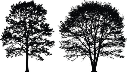 African safari animal silhouettes set isolated on white background, black lion elephant rhino and giraffe vector illustration, diverse wildlife icons for professional nature design projects. © MstAshida