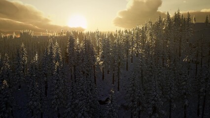 A breathtaking view of a snowy forest where sunlight gently cascades through tall pine trees. The tranquility of dawn creates a serene atmosphere in natures embrace. © icetray