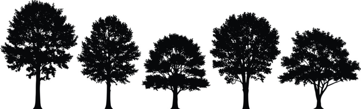 Deciduous tree silhouettes set isolated on white background, black oak maple and elm forest trees vector illustration, diverse nature landscape elements for graphic design.