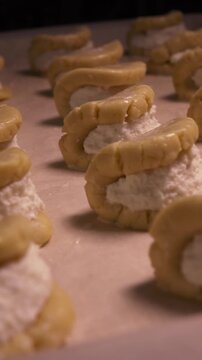 A girl cooks pies with cottage cheese . Vertical video about homemade pastries, cooking and confectionery