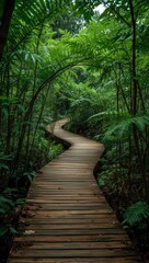 Fototapeta premium winding wooden path through dense jungle.