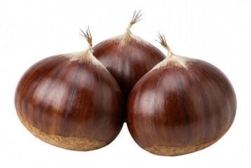 Obraz premium Three Shiny Brown Chestnuts Grouped Together