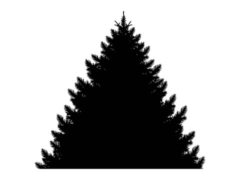 Professional Vector Illustration of Number 112 Graphic Element for Emergency and Design Projects