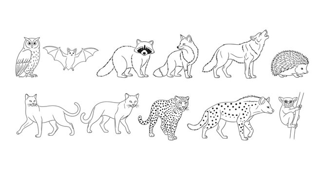 Collection of various wild animal drawings 16.