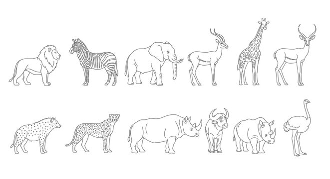 Collection of various wild animals standing 8.