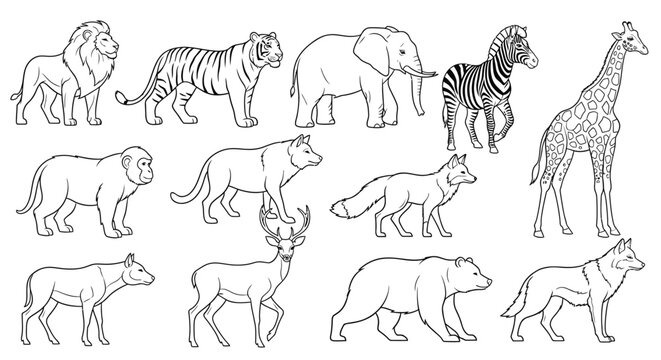 Collection of various wild animals walking.