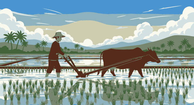 Man plowing field with brown oxen 2.