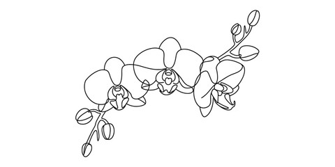 Minimalist continuous line drawing of a beautiful orchid spray with blossoms and tiny buds Vector, illustration © Prem_Bala_2026