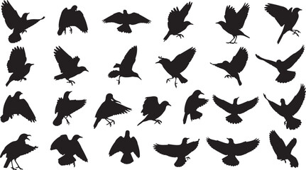 Fototapeta premium flock of flying birds in various poses vector illustration