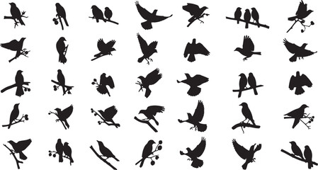 Fototapeta premium flock of birds flying and perching on branches flat design vector illustration