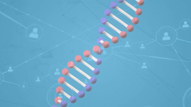 Animation of dna strand spinning over network of connections with people icons on blue background