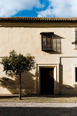 Fototapeta premium A picturesque traditional Spanish house with an orange tree in Cordoba, Spain.