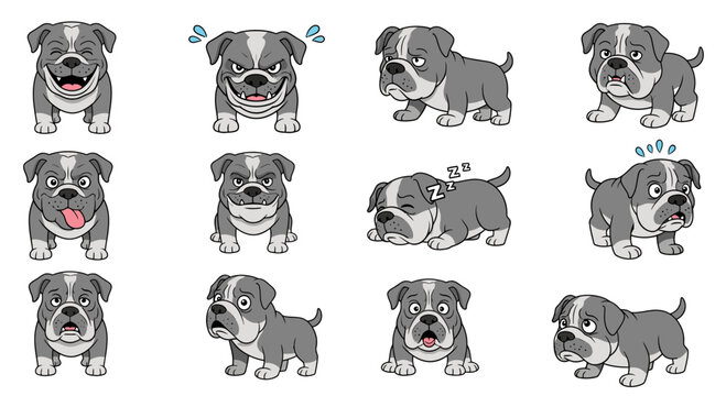 Cartoon Alapaha Blue Blood Bulldog with various expressions and poses  