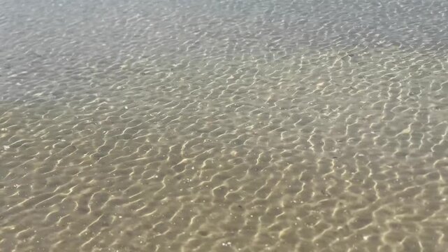 abstract close-up of wave-formed sand ripple patterns seen through crystal-clear shallow coastal water