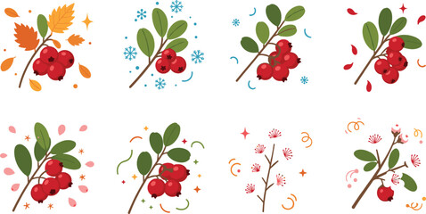 Seasonal berry branches set with leaves snowflakes and autumn elements colorful nature icons vector illustration isolated on white background © MstSelina