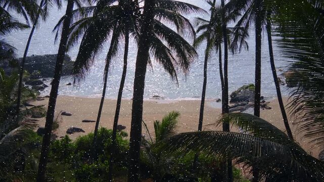 Sunny day at magic paradise beach with wild coconut palm trees growing on the shore and soft rocks with crabs walking around and it's golden sands are washed by Arabian Sea. Cola Beach, Palolem, Goa, 