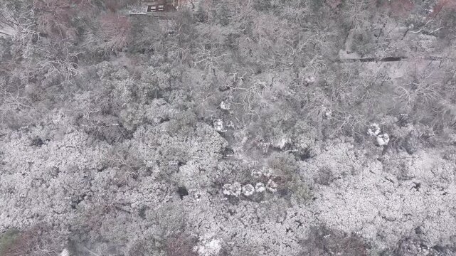 Snowscape of Guishan Scenic Area, Wuhan, Hubei, China