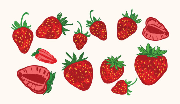 Ripe Strawberry Collection with Whole and Sliced Berries Illustration