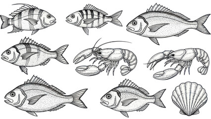 Collection of Hand Drawn Fish and Seafood Illustrations. © Yuni