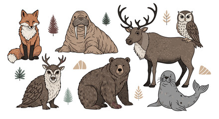 Obraz premium Collection of Arctic and forest animals in a whimsical illustrative style