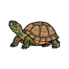 Obraz premium Turtle walking on white background with brown and orange shell