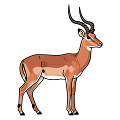 Fototapeta premium Brown Antelope Standing Isolated on White Background