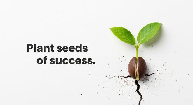 Seedling cracks ground, symbolizing new growth and success