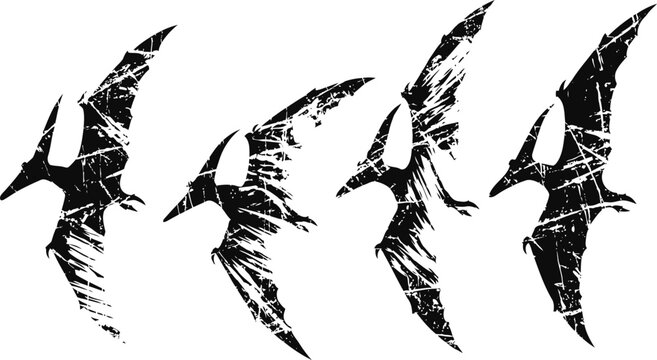 grunge pterodactyl silhouettes in flight prehistoric flying reptiles with textured distressed design
