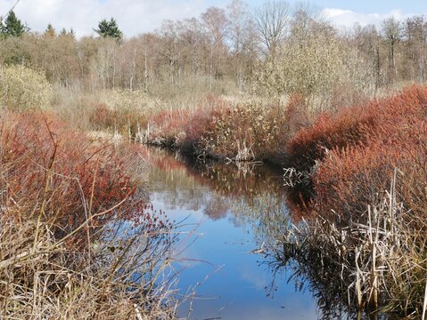 Raakmoor - Naturschutzgebiet in Hamburg-Langenhorn