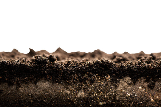 Macro view of uneven soil surface with granular details and organic debris for environmental and agricultural concepts isolated on transparent background for professional landscaping visual aids