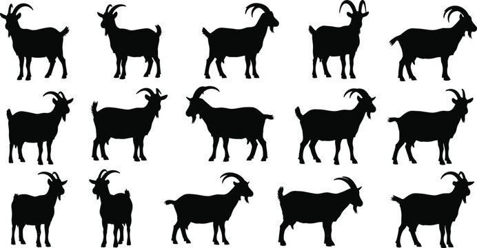 Goat Shape Goat Vector