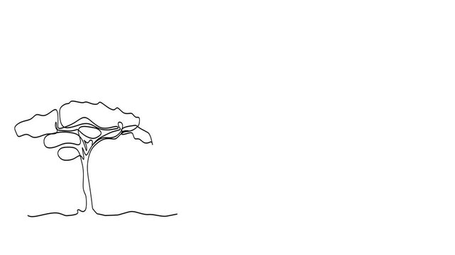 Animated self drawing of continuous line draw trees. Full length one line animation. 4K
