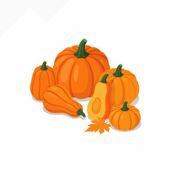 Obraz premium Autumn pumpkins and gourds vector illustration on white.