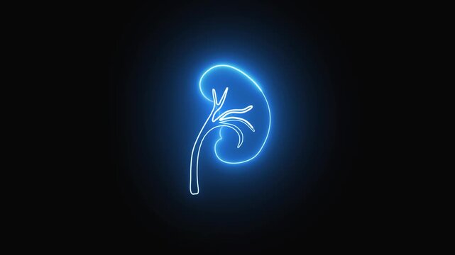 Glowing abstract depiction of a kidney and ureter on dark background. Abstract kidney and ureter icon glows against dark backdrop. Dark background highlights glowing kidney and ureter.