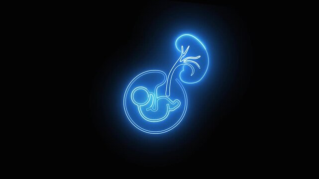 Neon depiction of a fetus with glowing umbilical cord and spiral light. Fetus icon with glowing umbilical cord shines in neon. Spiral light enhances neon depiction of fetus.