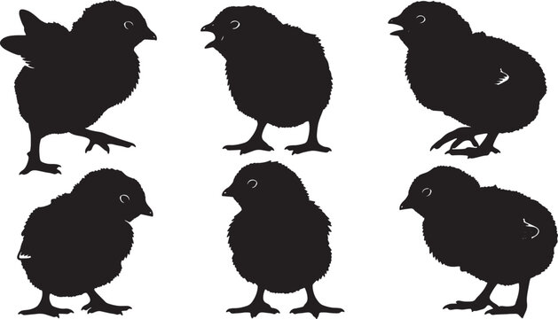 Black Solid Baby Chick Silhouettes Set of Six on White Background
