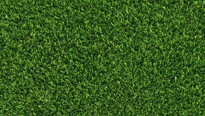 Obraz premium Vibrant Green Grass Blades Textured Background Natural Lawn Pattern Detailed Macro View