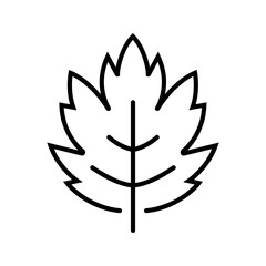 Naklejka premium Grape leaf icon. Nature and viticulture line symbol. Black and white.