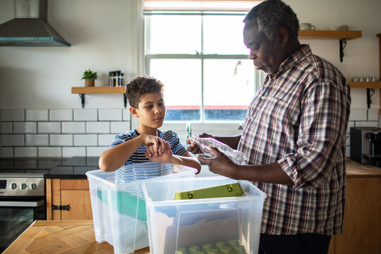 Man and boy sorting recycling in home kitchen