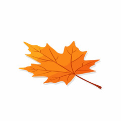 Fototapeta premium Orange maple leaf illustration isolated on white background.