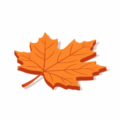 Fototapeta premium Orange maple leaf vector illustration isolated on white background.